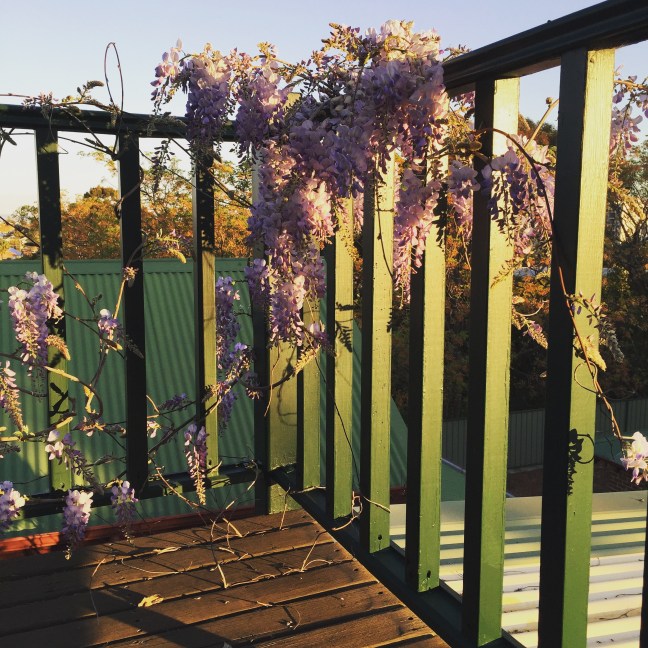 21495300821_c91584409d_o